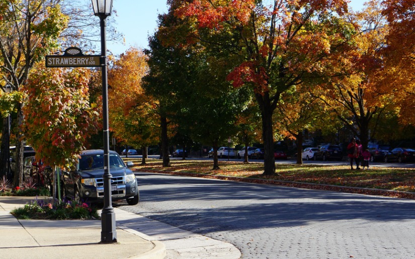 Assessment of Urban Tree Utilization & Forestry Programs of Richmond, VA and Raleigh, NC