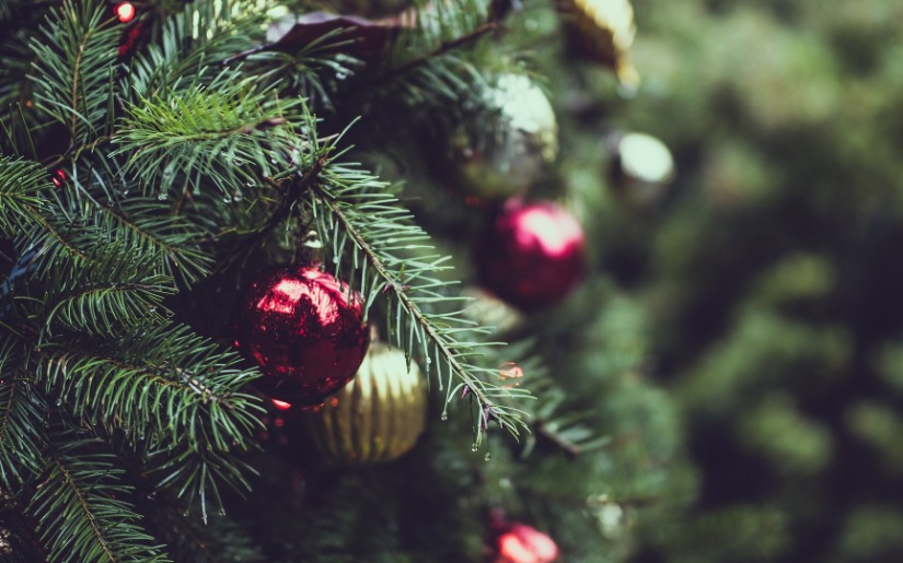 Real vs. Artificial Christmas Trees - An Environmental Perspective