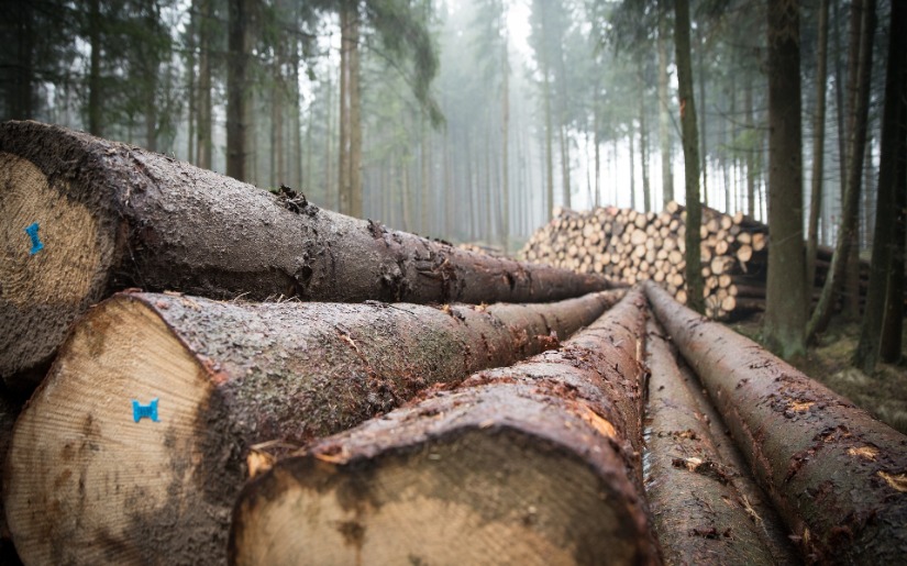 Utilization of Harvested Wood by the North American Forest Products Industry