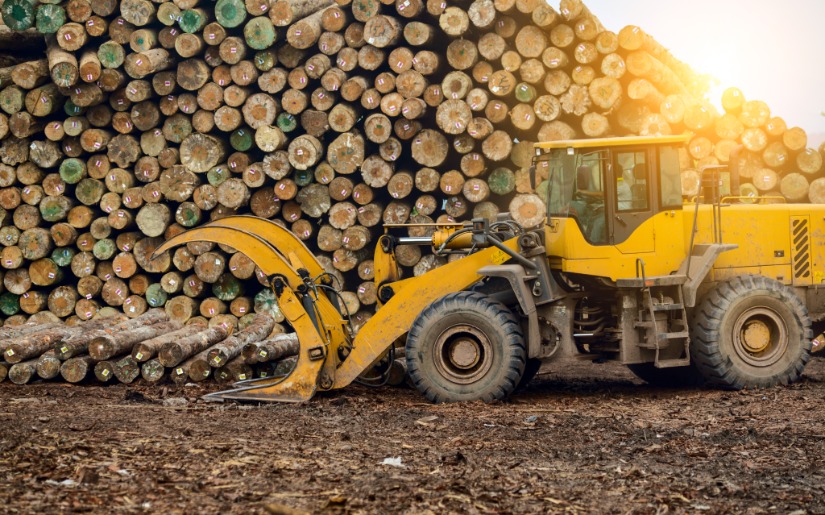 Global Forest Resources and Timber Trade