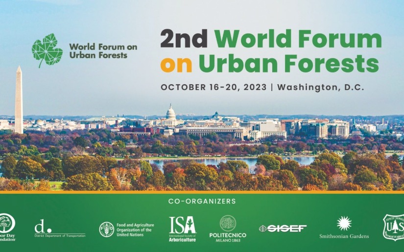 Join Dovetail Partners at the World Forum on Urban Forests